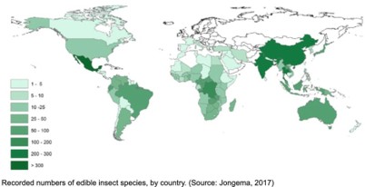 World map minus poles indicating density of edible insects. With light green being least dense and dark green being areas most dense.