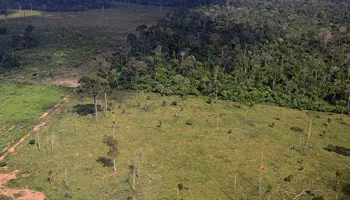 UMD Offers Undergraduate Courses on the Grand Challenge of ‘Global Change’