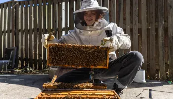 Clubs 101: UMD Beekeeping
