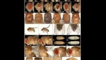 Fall 2013 Colloquium: Jian Wang