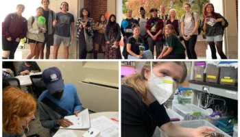 New Club has Insect Terp Population on the Rise