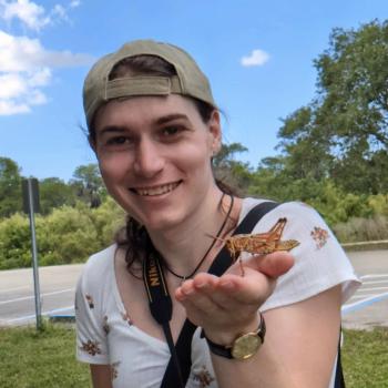 Portrait of Yaal Dryer